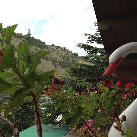 Mina Teva Villa Metula Exterior foto