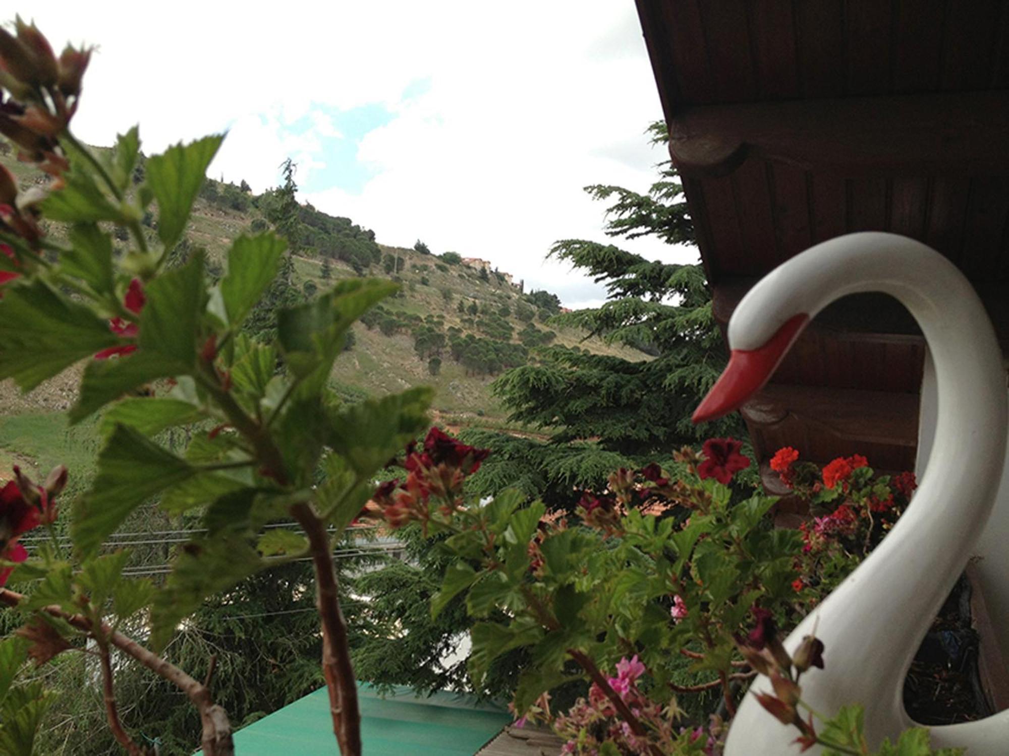 Mina Teva Villa Metula Exterior foto
